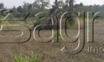 Imagem 6: Fazenda à venda, 310000 m² por r$ 62.000.000,00 - centro - poconé/mt para