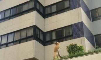 Imagem: Apartamento com 4 dormitórios à venda