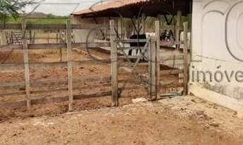 Imagem 4: Fazenda com 3 dormitórios à venda, 1900000 m² por r$ 900.000,00 - 00 - sumé/pb para