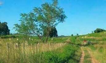 Imagem: Fazenda à venda, 526 hectares por r$ 10.520.000