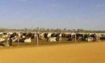 Imagem: Fazenda à venda, 118290000 m² por r$ 1.100.000.000,00