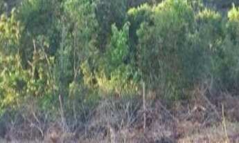 Imagem: Oferta) terreno à venda, 300 m² por r$