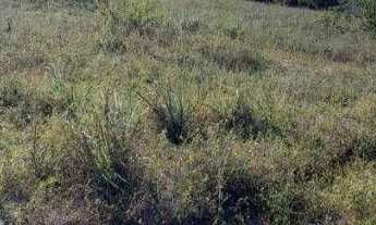 Imagem 2: Terreno à venda, 360 m² por r$ 35.000 - barra de gramame - conde/pb para