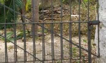 Imagem 4: Terreno à venda, 672 m² por r$ 800.000 - bancários - joão pessoa/pb para