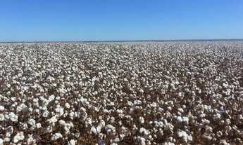 Imagem: Fazenda 26.726 mil hectares em MT, a venda