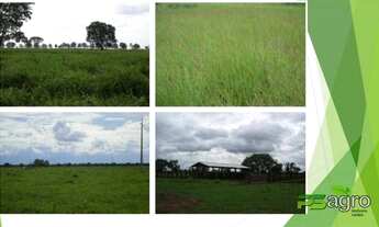 Imagem 5: Fazenda à venda, 934000000 m² por r$ 868.000.000 - zona rural - são felix do araguaia/mt p