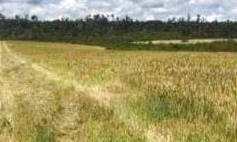Imagem: Fazenda à venda, 5.5000h² por r$27.500.000,00