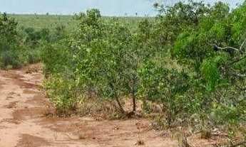 Imagem 7: Fazenda à venda, 600 alqueires por r$ 12.000.000 - zona rural - ponte alta do tocantins/to