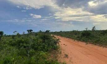 Imagem 2: Fazenda com 1.000 alqueries por r$ 30.000.000 - barra do ouro/to para