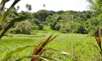Imagem 7: Granja 16 hectares a venda por R$1.400.000,00