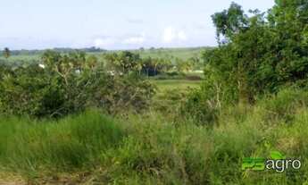 Imagem: Fazenda à venda, 1200000 m² por r$ 6.000.000