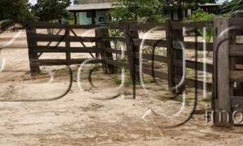 Imagem 6: Fazenda à venda, 105000 m² por r$ 23.000.000 - zona rural -to para