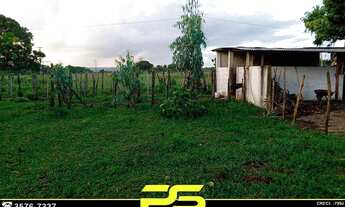 Imagem: Granja com 3 dormitórios à venda, 5.000