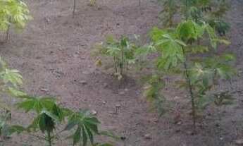 Imagem: Terreno à venda, 120 m² por r$ 25.000