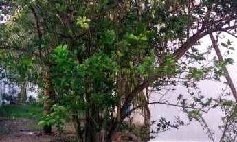 Imagem 7: Casa com 3 dormitórios à venda, 703 m² por r$ 1.300.000 - intermares - cabedelo/paraíba pa