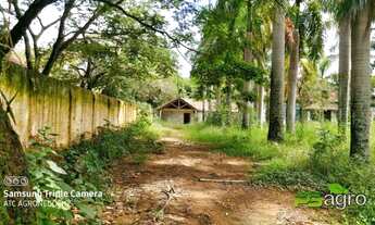 Imagem: Fazenda à venda, 33000000 m² por r$ 70.000.000
