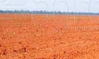 Imagem: Fazenda à venda, 46 mil hectares por us$