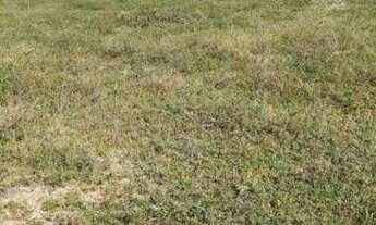 Imagem 7: 2 terreno à venda, 800 m² por r$ 100.000 - lucena - lucena/pb para