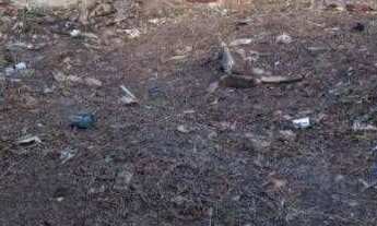 Imagem 5: Terreno à venda, 450 m² por r$ 50.000,00 - várzea - recife/pe para