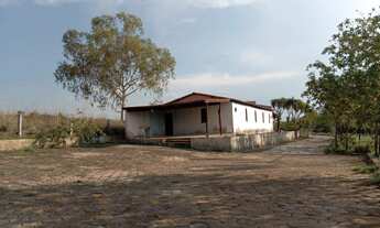 Imagem 5: Casa com 2.3 hectares com 04 quartos á venda por 1.500.000,00 para