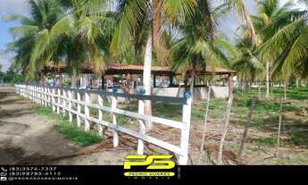 Imagem 4: Fazenda à venda, 50 hectares em mataraca por r$ 2.800.000 para