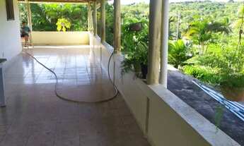 Imagem 4: Sitio 8,94 hectares em Olho D´Água a venda por R$ 260 mil