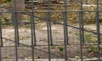 Imagem 5: Terreno à venda, 672 m² por r$ 800.000 - bancários - joão pessoa/pb para