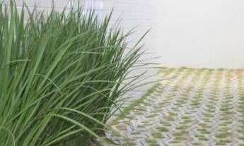 Imagem 6: Apartamento com 2 dormitórios à venda, 48 a 57 m² a partir de r$ 148.000 - joão paulo ii