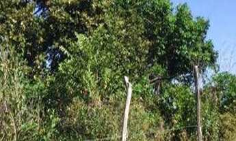 Imagem 4: Terreno à venda, 1100 m² por r$ 130.000 - lot. praia do sol - joão pessoa/pb para