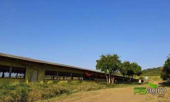 Imagem: Fazenda à venda, 8200000 m² por r$ 19.500.000