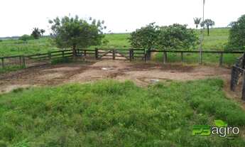 Imagem 5: Fazenda à venda, 24103200 m² por r$ 18.000.000 - zona rural/mt para