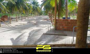 Imagem 3: Fazenda à venda, 50 hectares em mataraca por r$ 2.800.000 para