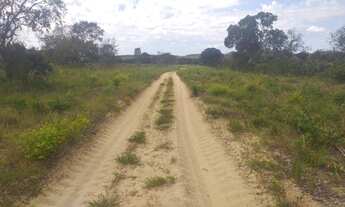 Imagem 5: Fazenda com 1.000 alqueries por r$ 30.000.000 - barra do ouro/to para