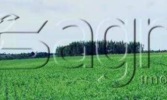 Imagem 4: Fazenda à venda, 1311 hectares por r$ 70.000/alqueire - zona rural - peixes/to para