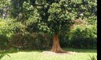 Imagem: Casa com 3 dormitórios à venda, 250 m²