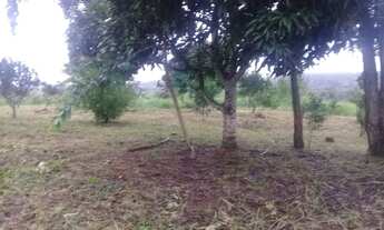 Imagem 6: Sítio à venda - alagoa nova para