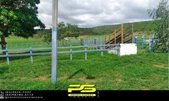 Imagem 6: Fazenda para vender com 14 hectares em alagoinha - pb, por r$ 750.000,00 para