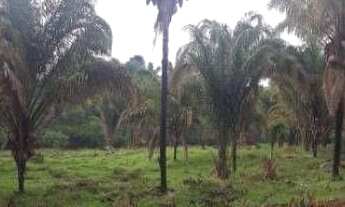 Imagem: Fazenda à venda, 5.593ha² por r$ 11.000.000