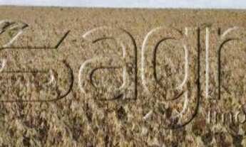 Imagem: Fazenda à venda, 580000000 m² por r$ 150.000.000,00