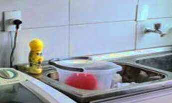 Imagem: Apartamento 4 quartos 3 suítes, 150m²