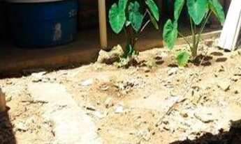 Imagem 5: Casa com 3 dormitórios à venda por r$ 80.000 - nordeste ll - guarabira/pb para