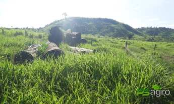 Imagem 4: Fazenda à venda, 147000000 m² por r$ 350.000.000 - localizada ao norte de minas-mg para