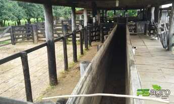 Imagem 4: Fazenda à venda, 24103200 m² por r$ 18.000.000 - zona rural/mt para