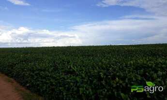Imagem 2: Fazenda à venda, 48000000 m² por r$ 15.000.000 - menino deus - lucas do rio verde/mt para
