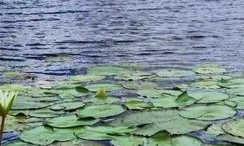 Imagem 7: Terreno 877.9m² em Gurinhém Br 230 no Condomínio Lagos - Paraíba por 168 mil