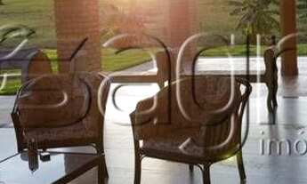 Imagem: Fazenda para cria e recria, no município