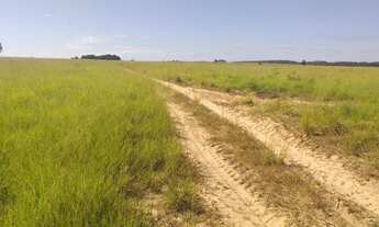 Imagem 3: Fazenda com 1.000 alqueries por r$ 30.000.000 - barra do ouro/to para