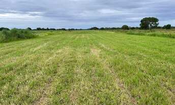 Imagem 6: Fazenda 100.532 mil hectares em MT, a venda por R$1.400.000.000,00