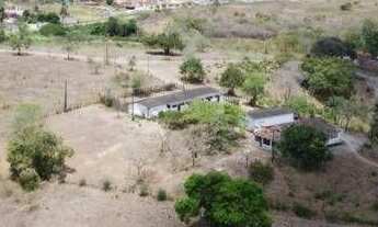 Imagem 4: Fazenda à venda, 15 hectares por r$ 850.000 - sapé - sapé/pb para