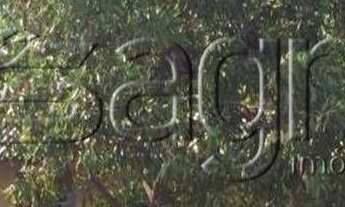 Imagem 2: Fazenda, centro - uruçuí para